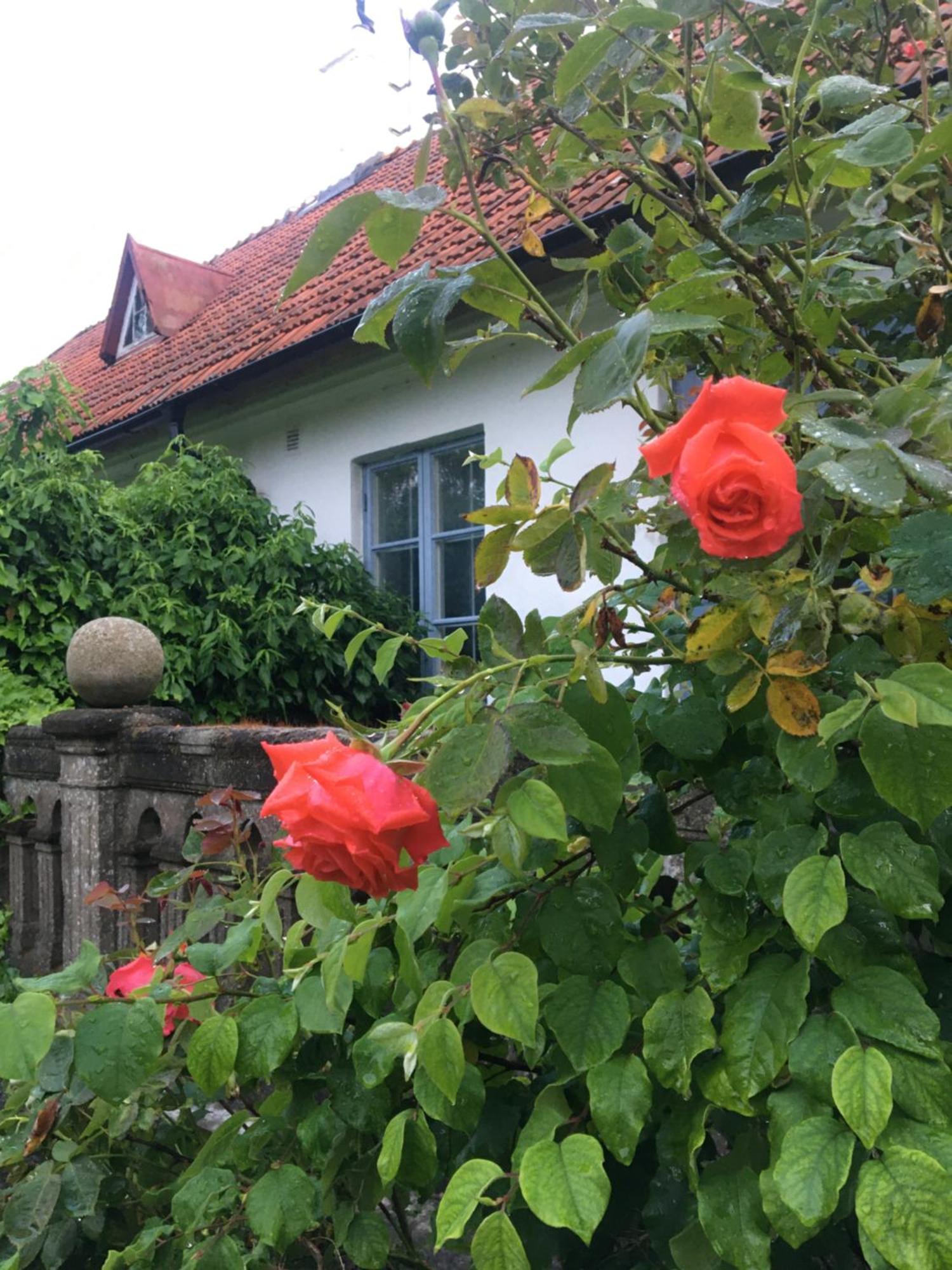 Sydkustens At Tullnaes Vingard Klagstorp Экстерьер фото